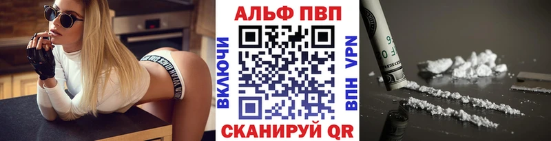 A PVP СК КРИС  Оса 
