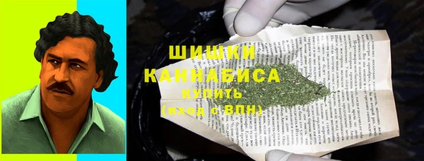 a pvp Новозыбков