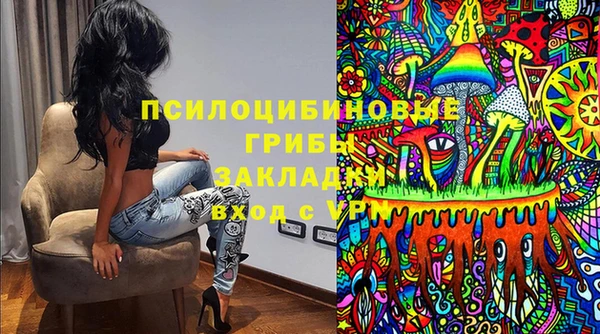 a pvp Новозыбков
