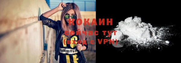 a pvp Новозыбков